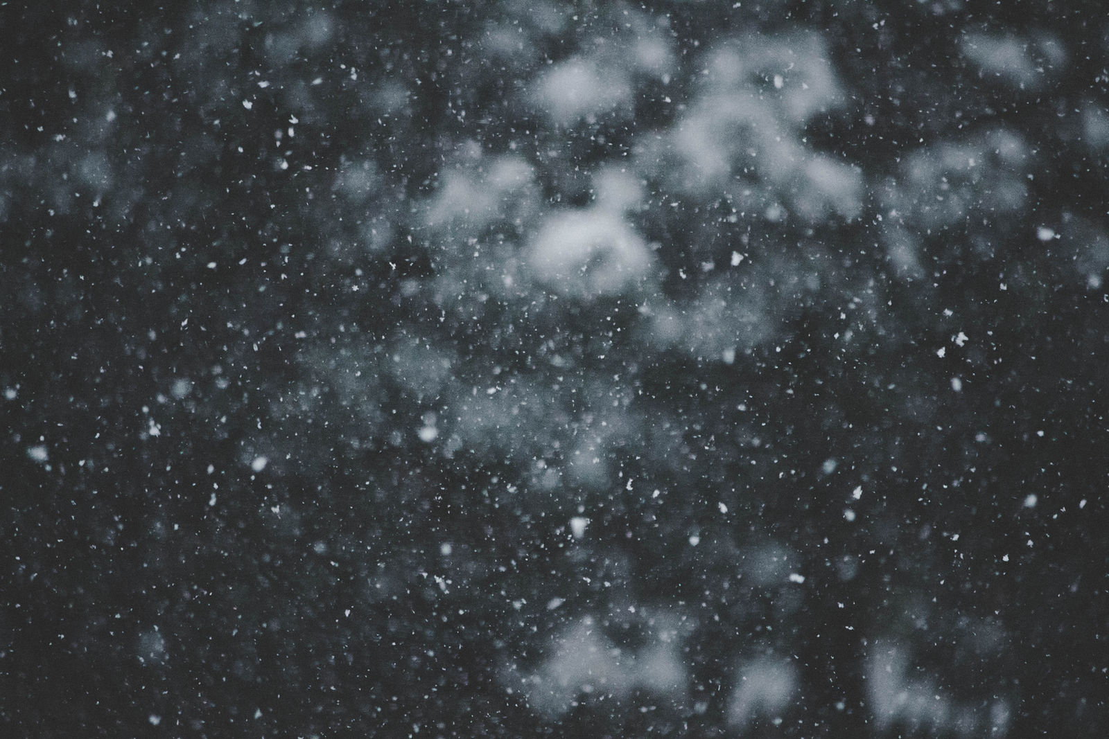 NOURISHED - Your Monthly Ceremony During the Dark Season
